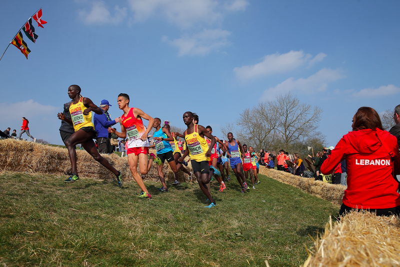 Illustration for article titled Real Cross Country Delivers Real Redemption